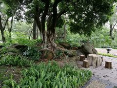 -玉树公园