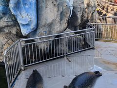 -华夏文旅海洋公园