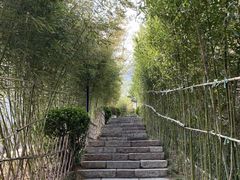 -郑庄脂渣海鲜楼(九水路店)