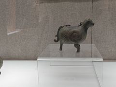 -信阳博物馆