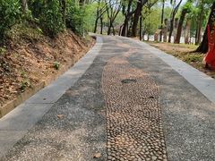 -福神岗公园