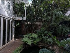 -Fern Forest Cafe