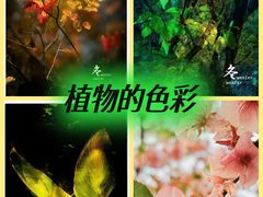 -三圣花乡旅游区