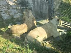 -石家庄市动物园