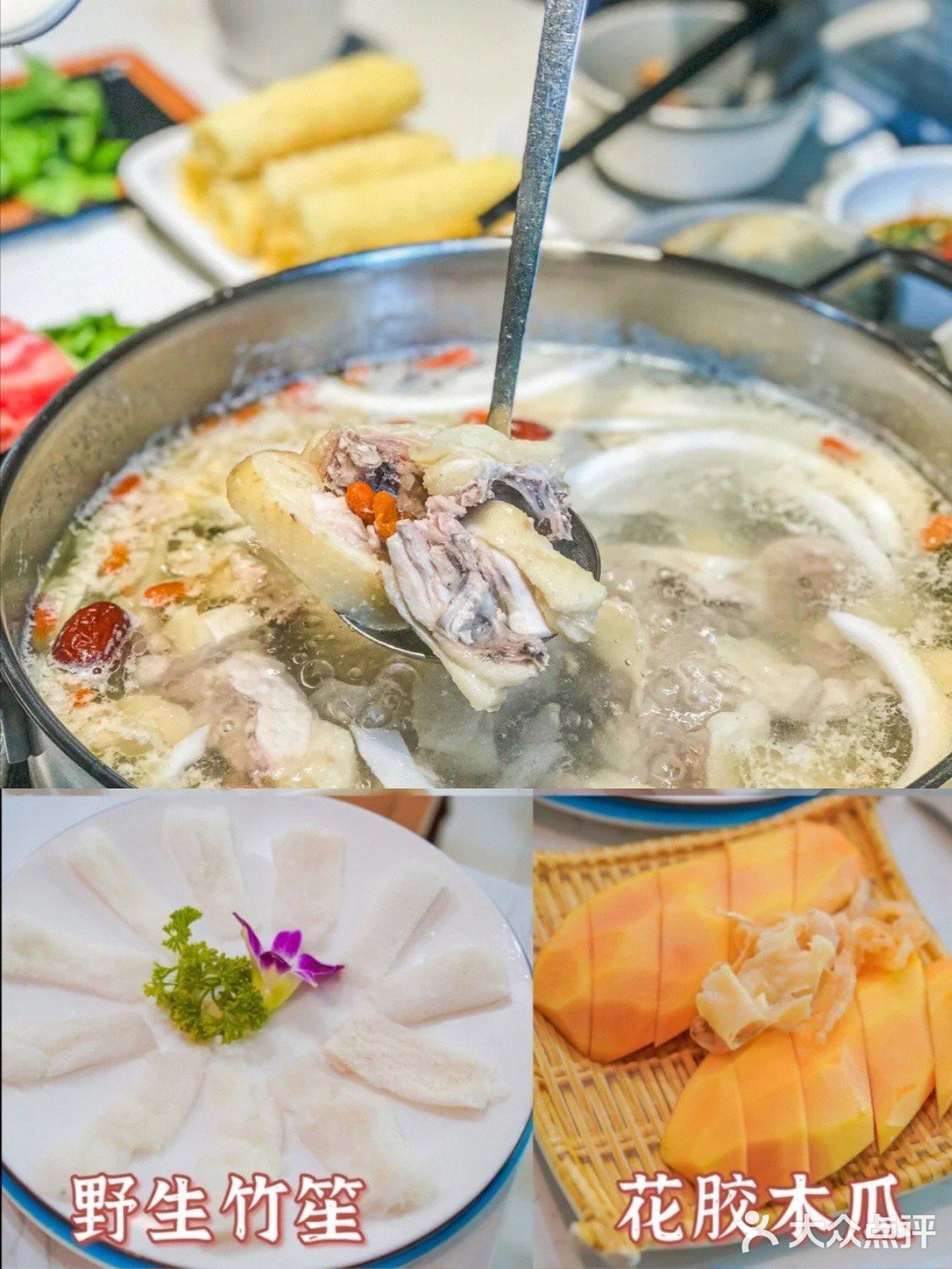 三亚🥥｜海南不仅要吃海鲜🦑椰子鸡🍗吃萌哒哒🉑️‼️