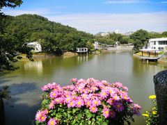 -梧桐山风景名胜区