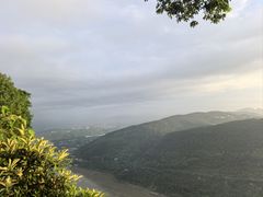 -铁山坪森林公园