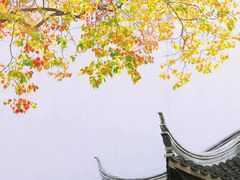 -老门东历史文化街区