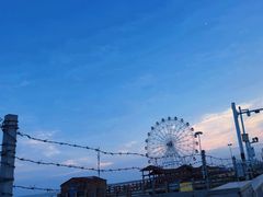 -奉贤海滩