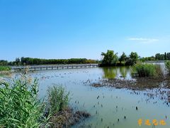 -野鸭湖国家湿地公园