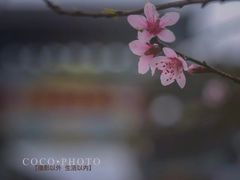 -常德桃花源景区