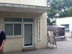 -紫竹院公园冰场