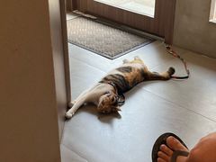 -Again Coffee Roaster(香蜜湖店)