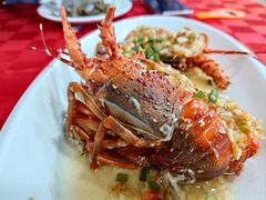 -先鲜鲫鱼粥