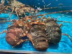 -学府海鲜批发市场