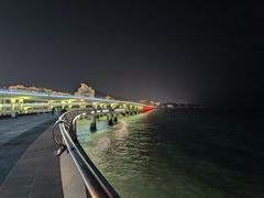 -演武大桥观景平台