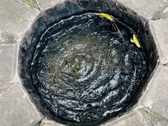 -北海金海湾红树林生态旅游区