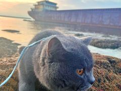 -小黑石海滨浴场·停车场