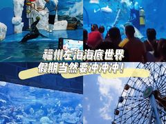 -左海海底世界
