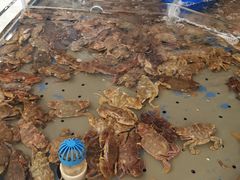 -澜悦港海鲜体验主题餐厅