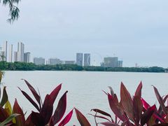 -顺峰山公园