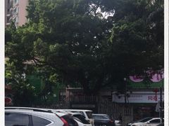 -水围村
