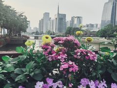 -海心沙亚运公园