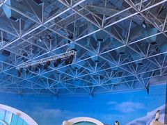 -海合安青岛极地海洋公园
