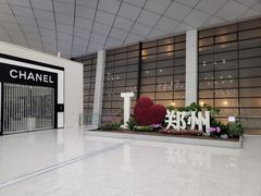 -郑州新郑国际机场-T2航站楼