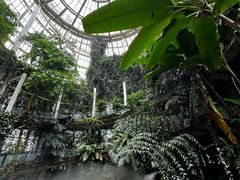 -昆明植物园