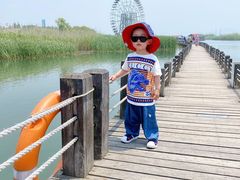 -太湖湖滨国家湿地公园-停车场