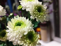 -袁记串串香(涧西总店)