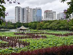 -南宁南湖公园
