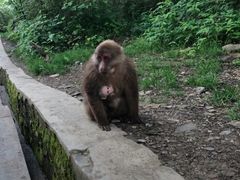 -峨眉山风景名胜区