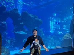 -成都浩海立方海洋公园