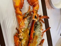 -黑松白鹿(崇文门新活馆店)