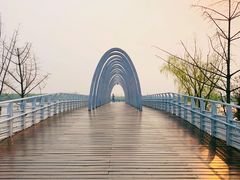 -大兴滨河森林公园