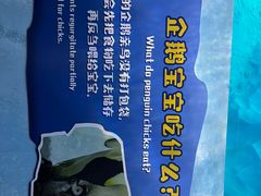 -珠海长隆海洋王国