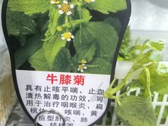 -黔府豆米火锅野菜馆(南马店)