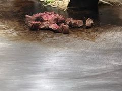-火地铁板烧(昆山万象汇店)