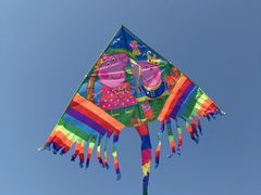 -青枫公园