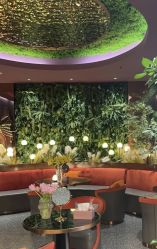 -花隐·美芙炫海菲秀皮肤管理中心