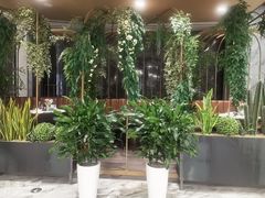 -虾佬圣汤·海鲜姿造(乐堤港店)