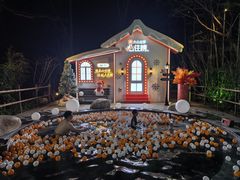 -天目湖御水温泉·度假酒店