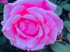 -中央广播电视总台(光华路办公区)