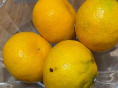 -东湖印象汉寿特色甲鱼钵子菜(渔人码头店)