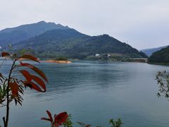 -广州市流溪河国家森林公园