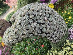 -杭州植物园