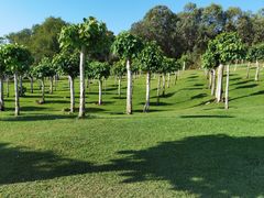 -三亚南山文化旅游区