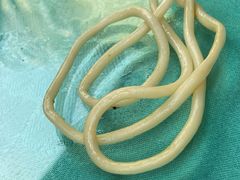 餐饮设施-上海欢乐谷